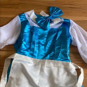 Adult Belle costume